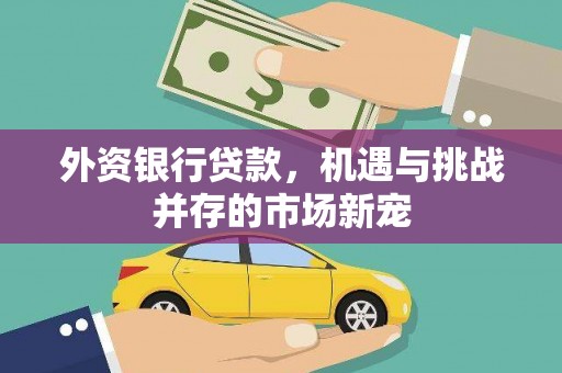 城厢外资银行贷款，机遇与挑战并存的市场新宠