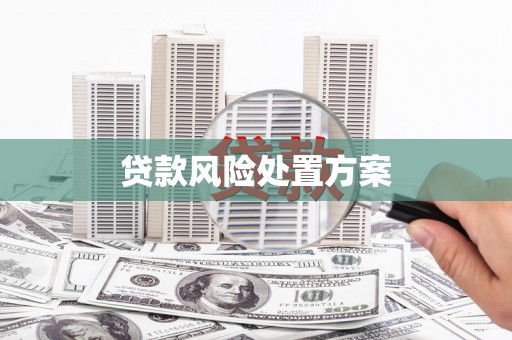 城厢贷款风险处置方案
