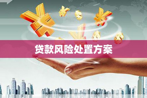 城厢贷款风险处置方案