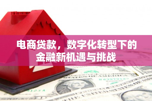 城厢电商贷款，数字化转型下的金融新机遇与挑战