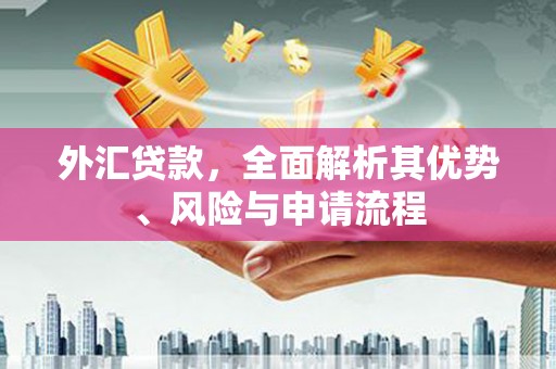 城厢外汇贷款，全面解析其优势、风险与申请流程