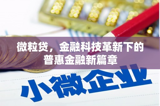 城厢微粒贷，金融科技革新下的普惠金融新篇章