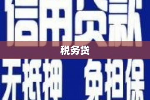 城厢税务贷