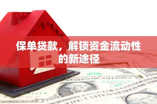 城厢保单贷款，解锁资金流动性的新途径