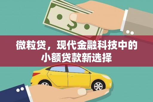 城厢微粒贷，现代金融科技中的小额贷款新选择
