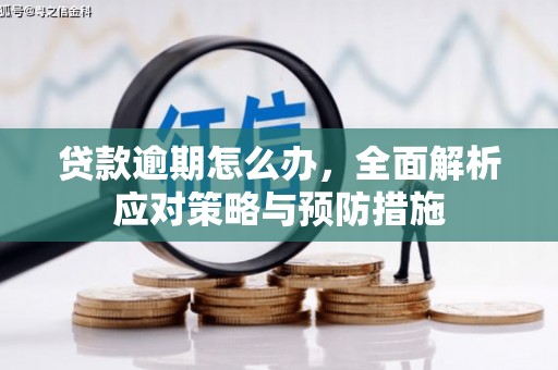 城厢贷款逾期怎么办，全面解析应对策略与预防措施