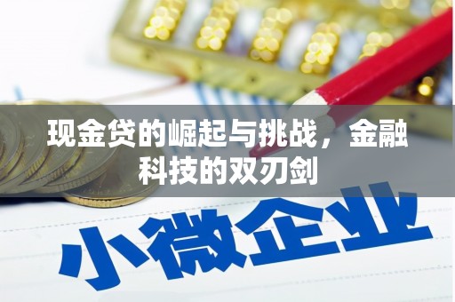 城厢现金贷的崛起与挑战，金融科技的双刃剑
