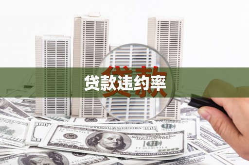 城厢贷款违约率