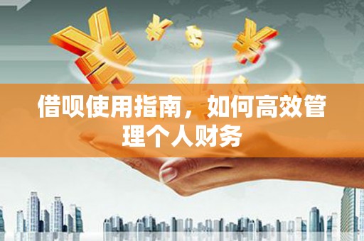 城厢借呗使用指南，如何高效管理个人财务
