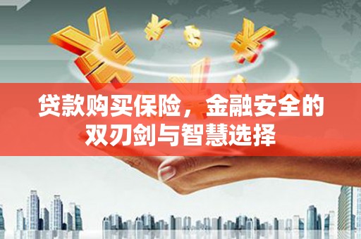 城厢贷款购买保险，金融安全的双刃剑与智慧选择
