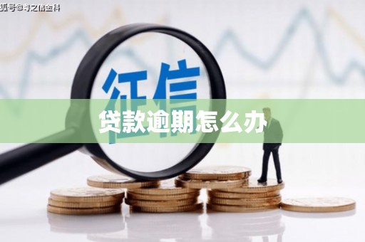 城厢贷款逾期怎么办