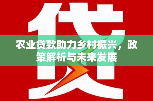 城厢农业贷款助力乡村振兴，政策解析与未来发展