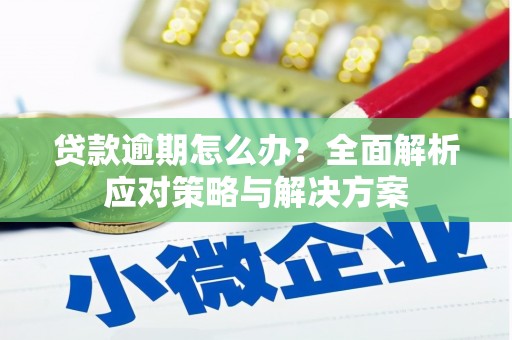 城厢贷款逾期怎么办？全面解析应对策略与解决方案