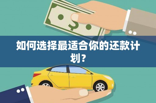城厢如何选择最适合你的还款计划？