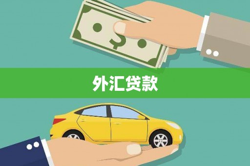 城厢外汇贷款