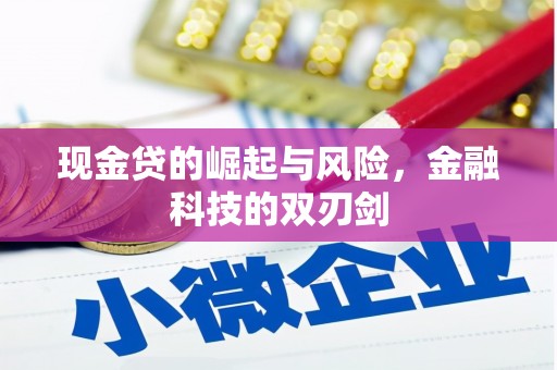城厢现金贷的崛起与风险，金融科技的双刃剑