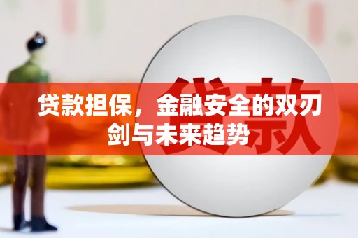 城厢贷款担保，金融安全的双刃剑与未来趋势