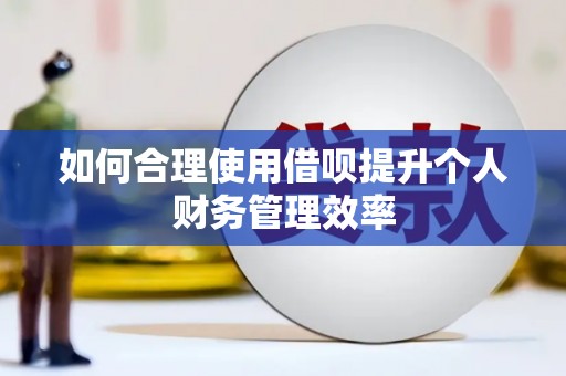 城厢如何合理使用借呗提升个人财务管理效率