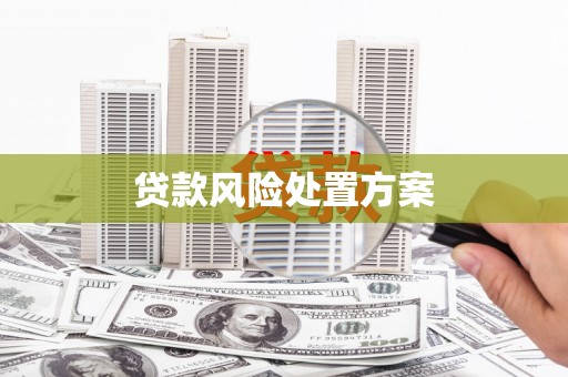城厢贷款风险处置方案