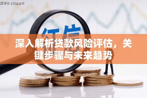 城厢深入解析贷款风险评估，关键步骤与未来趋势