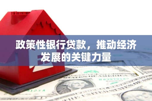 城厢政策性银行贷款，推动经济发展的关键力量