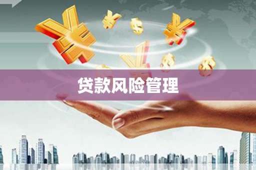 城厢贷款风险管理