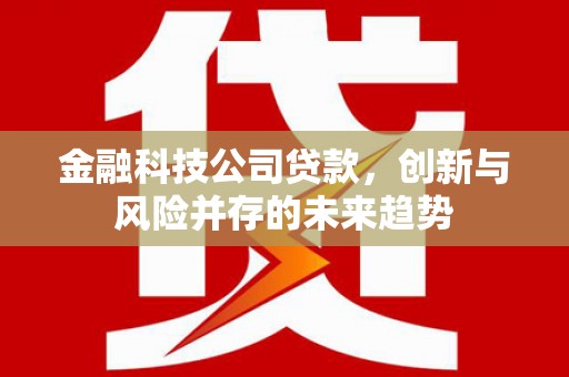 城厢金融科技公司贷款，创新与风险并存的未来趋势