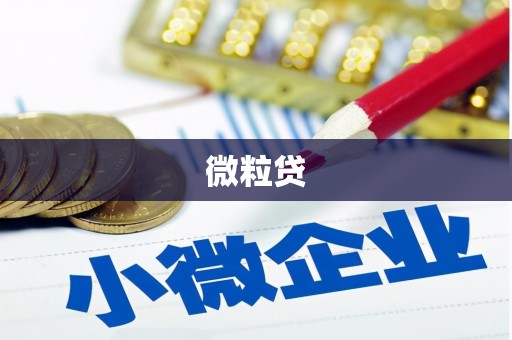 城厢微粒贷