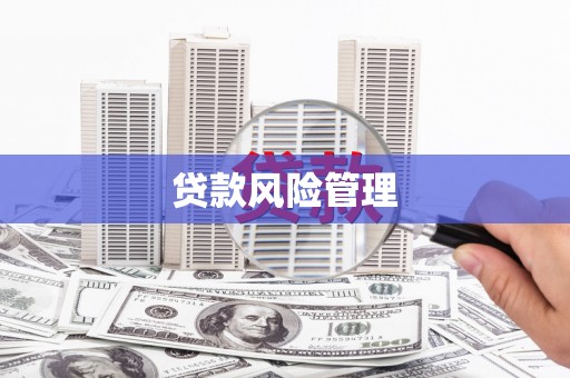 城厢贷款风险管理