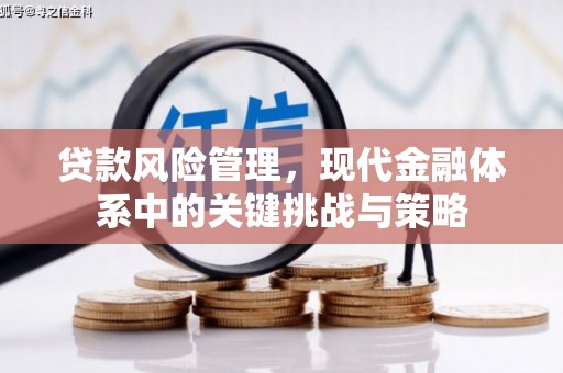城厢贷款风险管理，现代金融体系中的关键挑战与策略