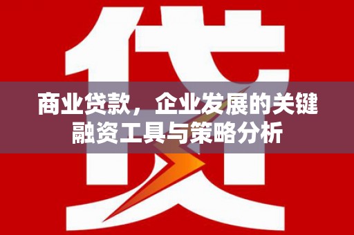 城厢商业贷款，企业发展的关键融资工具与策略分析