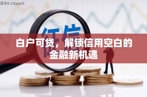 城厢白户可贷，解锁信用空白的金融新机遇