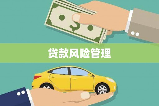 城厢贷款风险管理