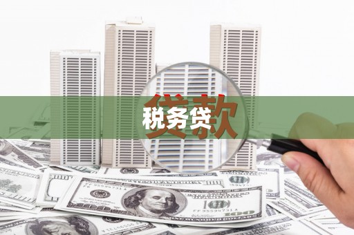 城厢税务贷
