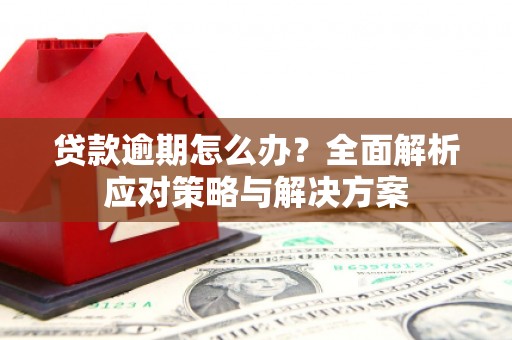 城厢贷款逾期怎么办？全面解析应对策略与解决方案