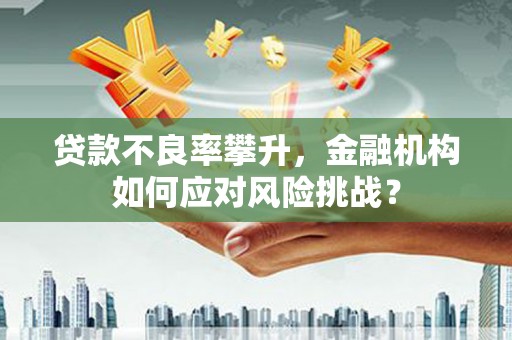 城厢贷款不良率攀升，金融机构如何应对风险挑战？
