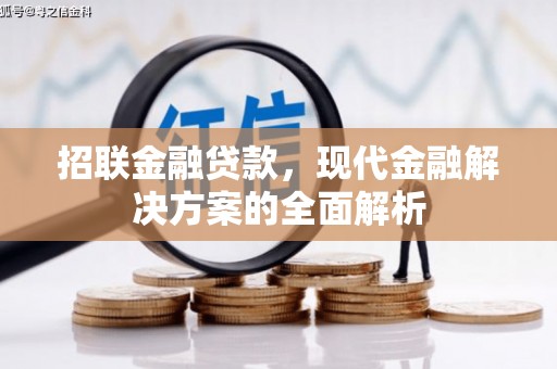 城厢招联金融贷款，现代金融解决方案的全面解析