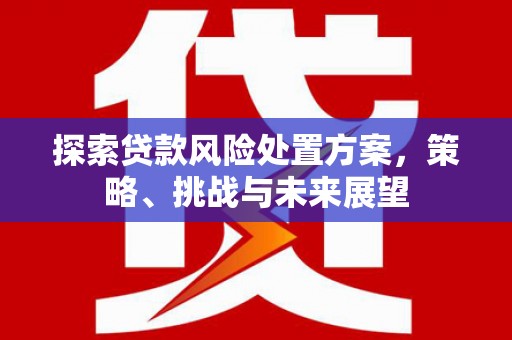 城厢探索贷款风险处置方案，策略、挑战与未来展望