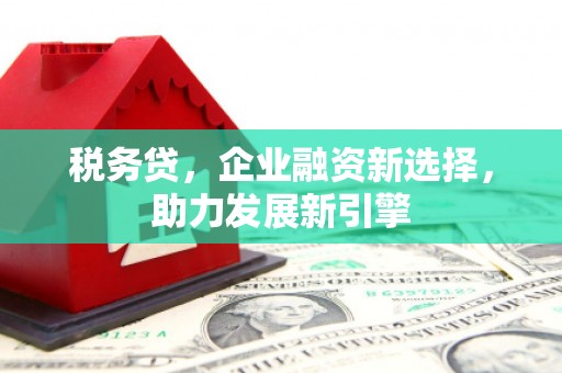 城厢税务贷，企业融资新选择，助力发展新引擎