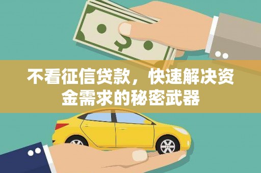 城厢不看征信贷款，快速解决资金需求的秘密武器