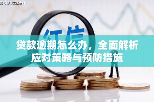 城厢贷款逾期怎么办，全面解析应对策略与预防措施