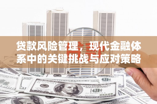 城厢贷款风险管理，现代金融体系中的关键挑战与应对策略