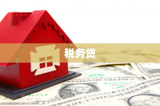 城厢税务贷