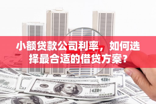 城厢小额贷款公司利率，如何选择最合适的借贷方案？