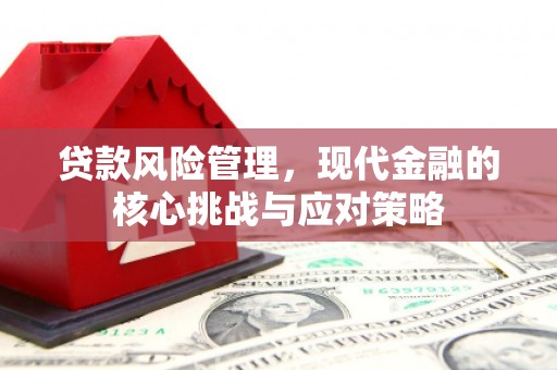 城厢贷款风险管理，现代金融的核心挑战与应对策略