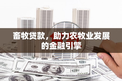 城厢畜牧贷款，助力农牧业发展的金融引擎