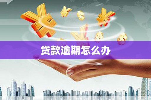 城厢贷款逾期怎么办
