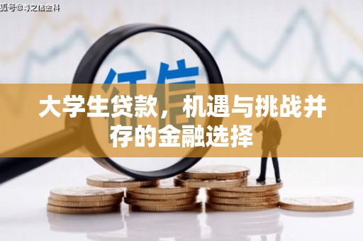 城厢大学生贷款，机遇与挑战并存的金融选择