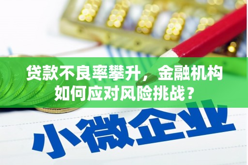 城厢贷款不良率攀升，金融机构如何应对风险挑战？