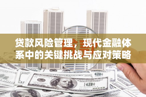 城厢贷款风险管理，现代金融体系中的关键挑战与应对策略